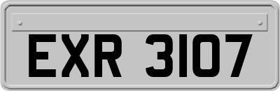 EXR3107