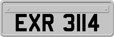 EXR3114