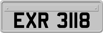 EXR3118