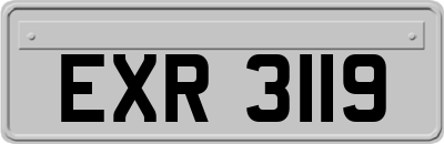 EXR3119