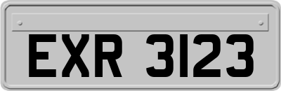 EXR3123