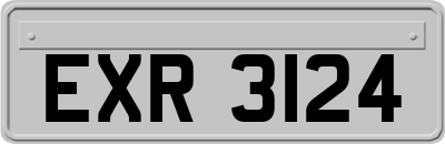 EXR3124