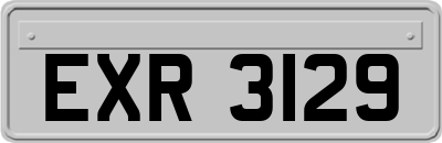EXR3129