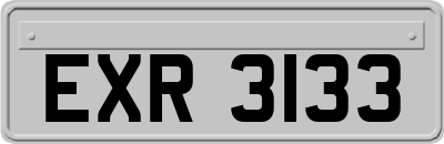 EXR3133