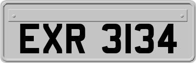 EXR3134