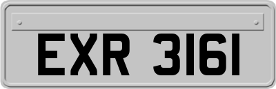 EXR3161