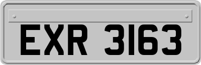 EXR3163
