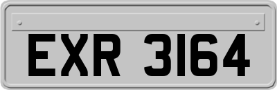 EXR3164