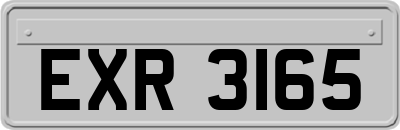 EXR3165
