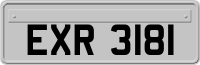 EXR3181
