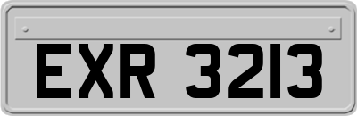 EXR3213