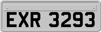 EXR3293
