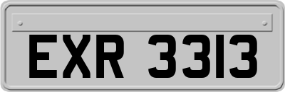 EXR3313