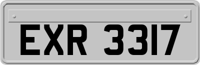 EXR3317