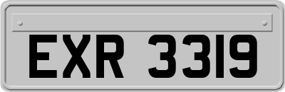 EXR3319