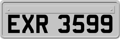 EXR3599