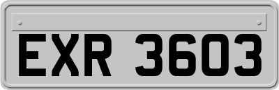 EXR3603