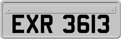 EXR3613