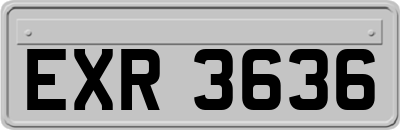 EXR3636