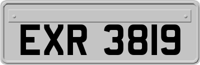 EXR3819