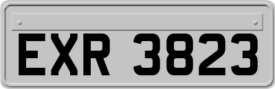 EXR3823