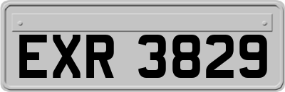 EXR3829