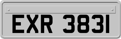 EXR3831