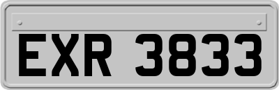 EXR3833