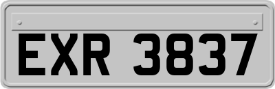 EXR3837