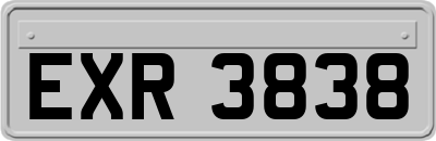 EXR3838