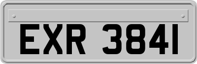 EXR3841
