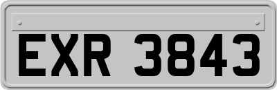 EXR3843