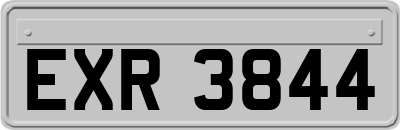 EXR3844