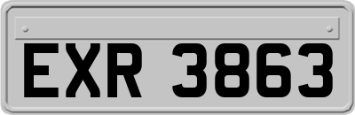 EXR3863