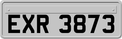 EXR3873