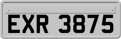 EXR3875