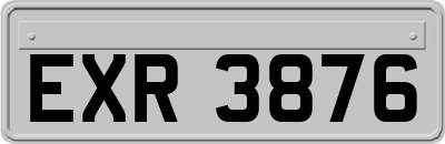 EXR3876