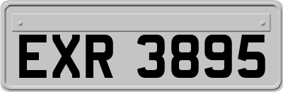 EXR3895