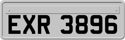 EXR3896