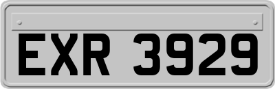 EXR3929
