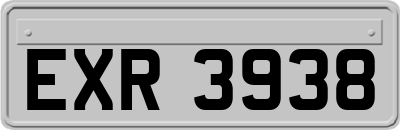 EXR3938