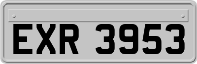 EXR3953