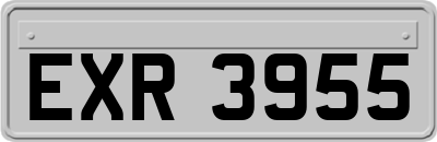 EXR3955
