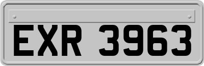 EXR3963
