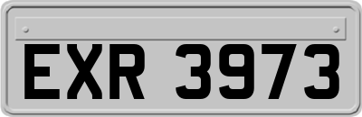 EXR3973