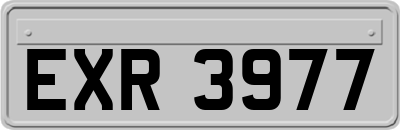 EXR3977