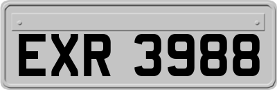 EXR3988