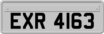 EXR4163
