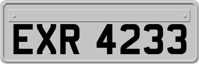 EXR4233