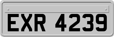 EXR4239